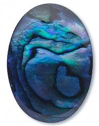 Paua skjell
