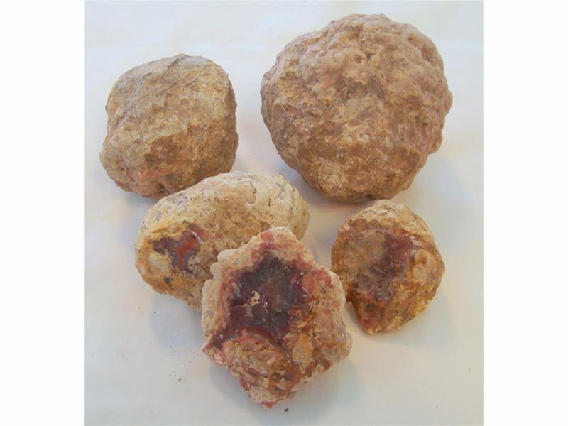 Sonora Nodules fra Mexico. Farge, Lys til rød agatknoll i lys kalk. Størrelse på bitene 40-260 gram. Pose med 500 gram.