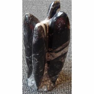 Art. 3481 Orthocheras, stående. Varierende fasong.